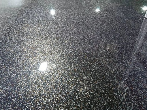 resinas sin solventes